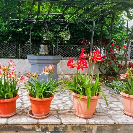 Apartman Lavanda Sa Bazenom I Okucnicom 4* Hreljin ภายนอก รูปภาพ