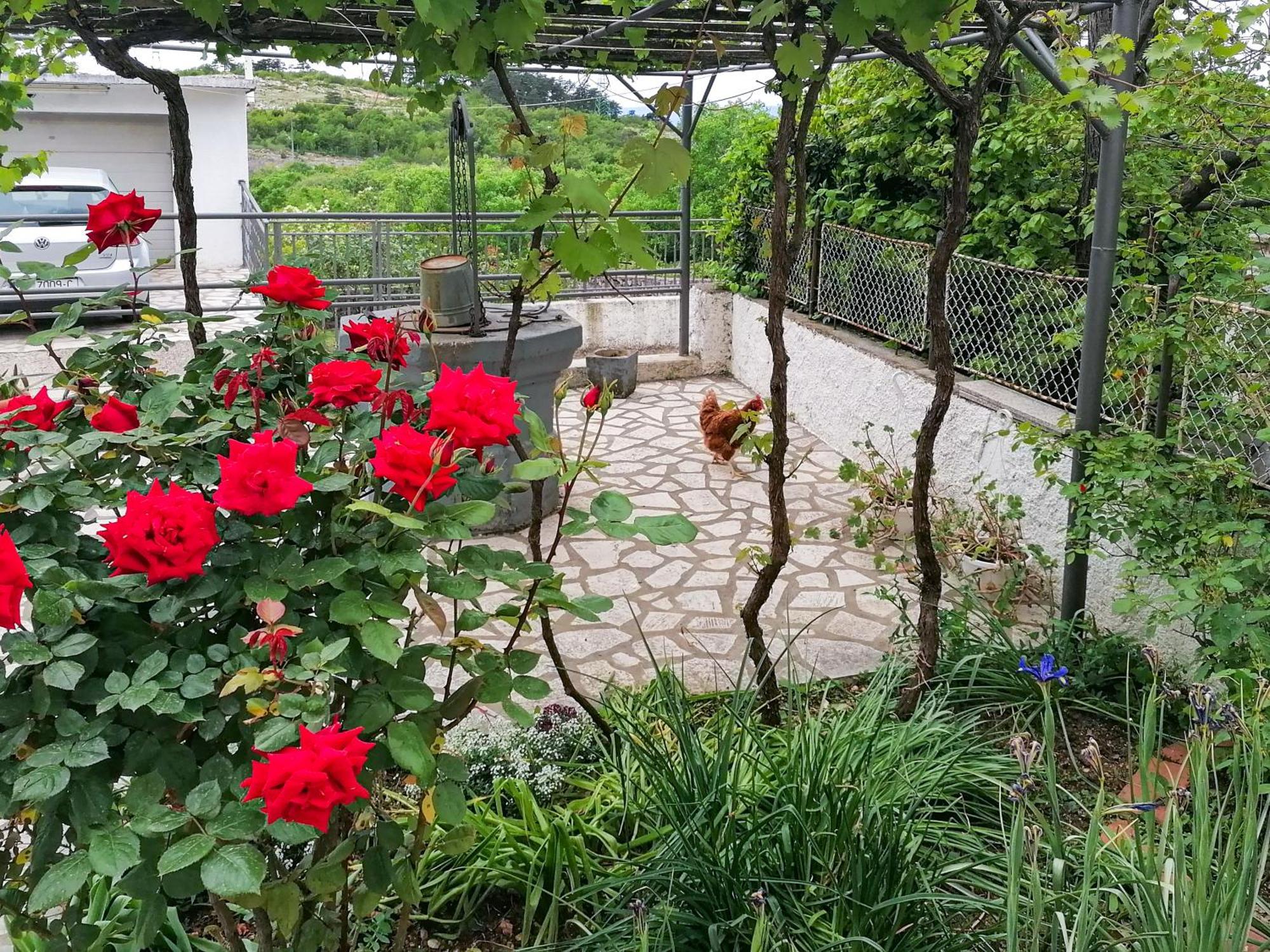 Apartman Lavanda Sa Bazenom I Okucnicom 4* Hreljin ภายนอก รูปภาพ