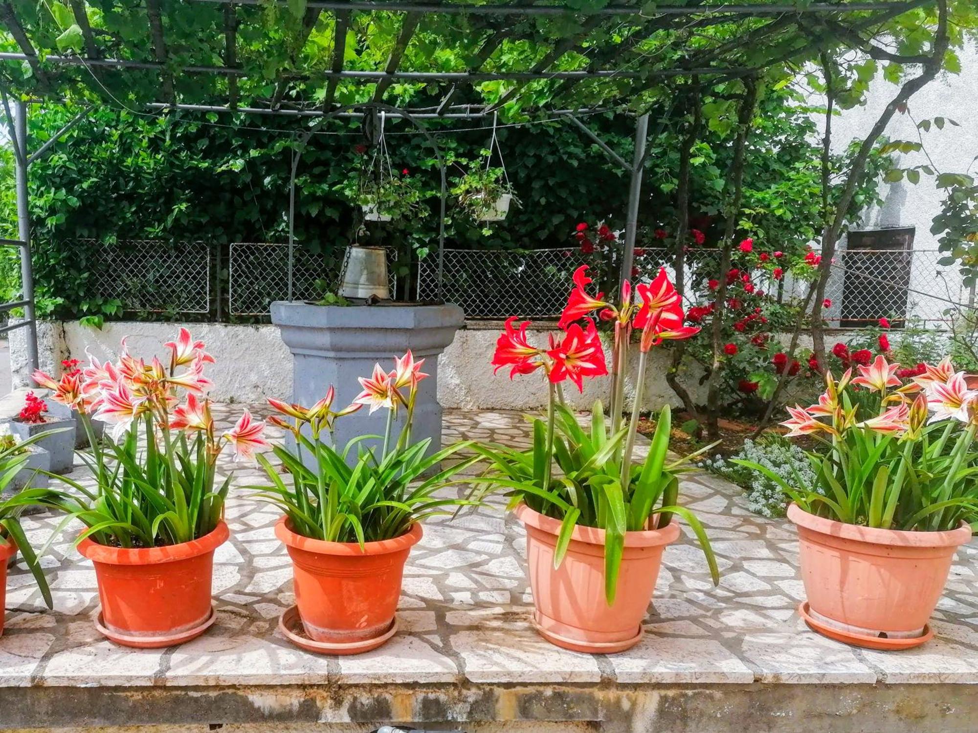 Apartman Lavanda Sa Bazenom I Okucnicom 4* Hreljin ภายนอก รูปภาพ
