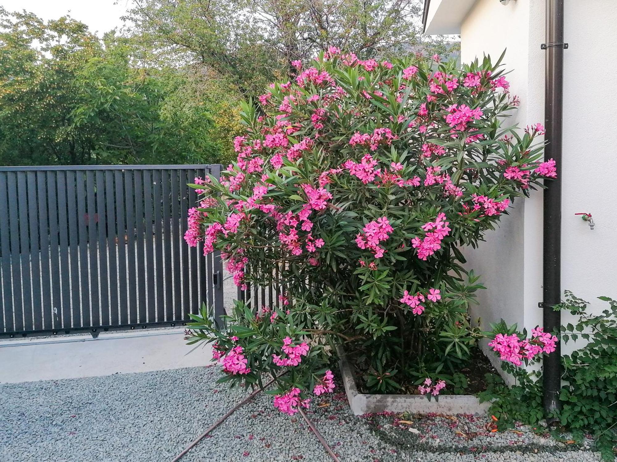 Apartman Lavanda Sa Bazenom I Okucnicom 4* Hreljin ภายนอก รูปภาพ