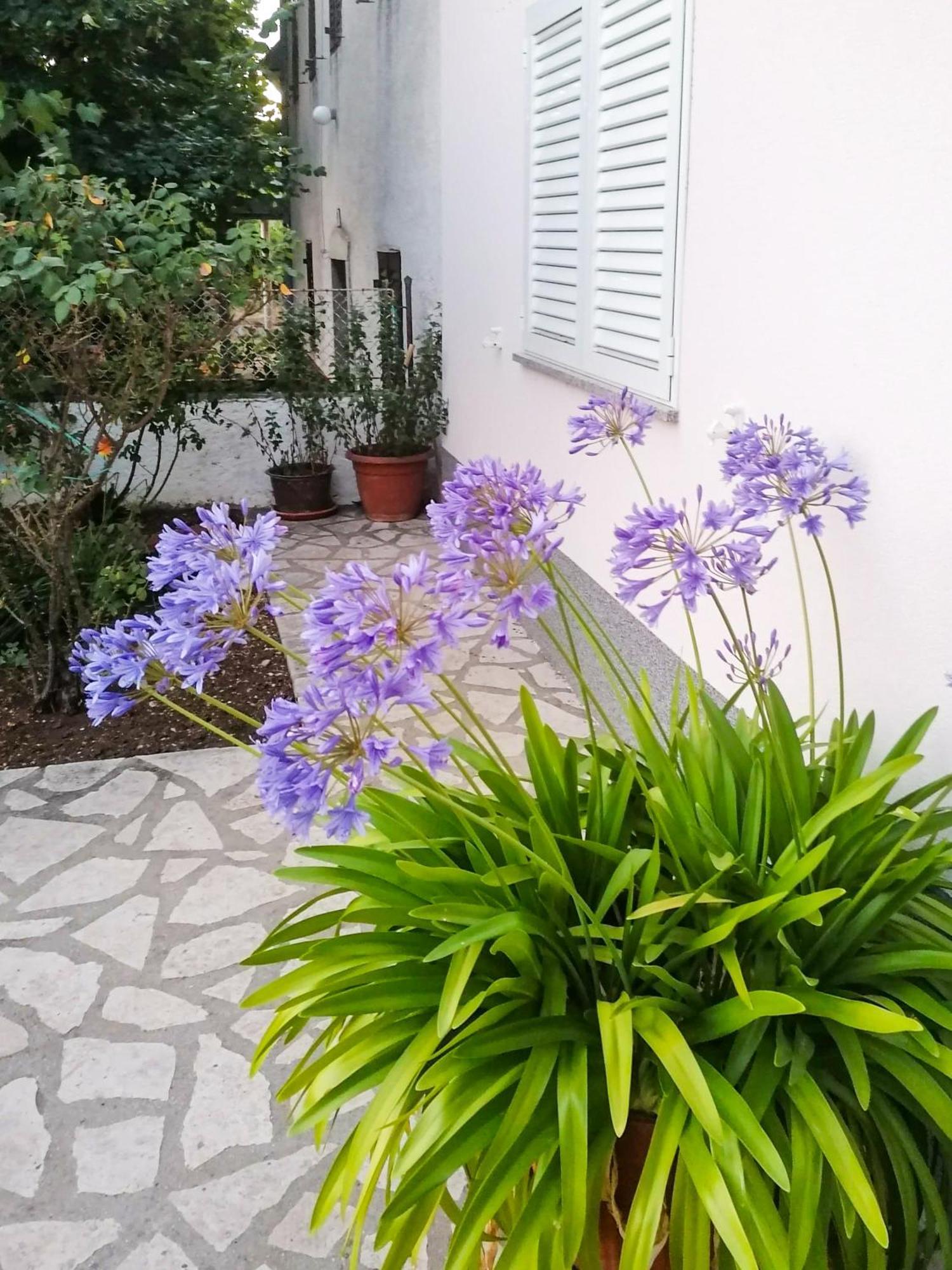 Apartman Lavanda Sa Bazenom I Okucnicom 4* Hreljin ภายนอก รูปภาพ